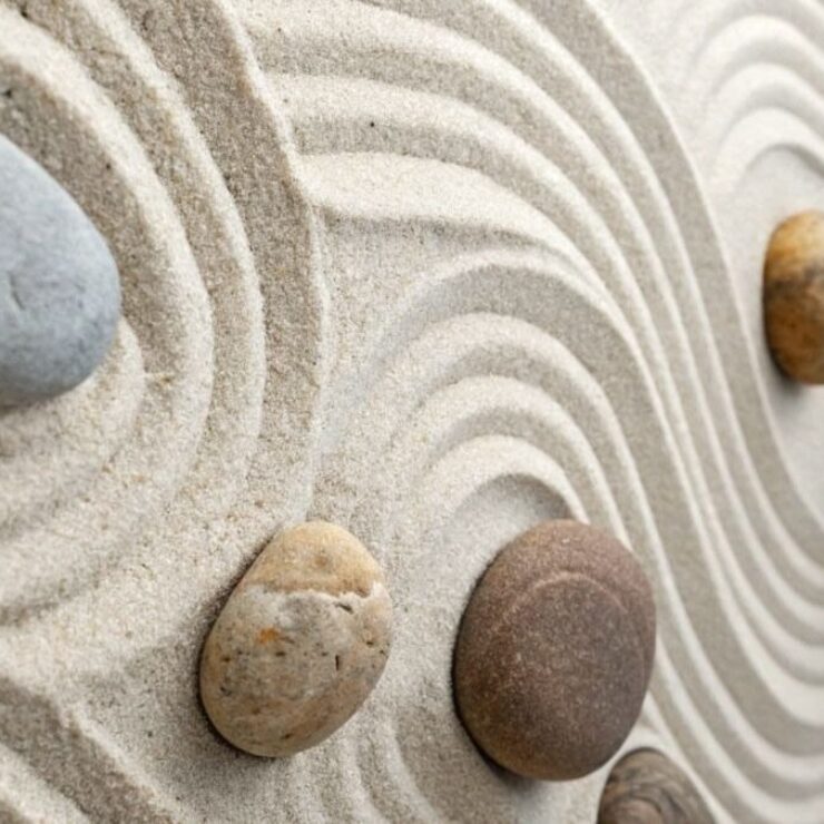 c0ca4954-ccd0-4607-9c4f-3c3bb96d35de